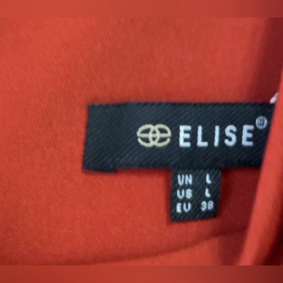 Elise Stunning Burnt Orange Pleated Dress Size L EUC - Picture 4 of 4